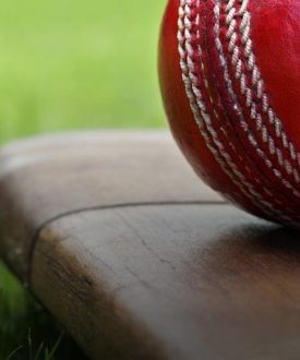 Cricket Bats Featured